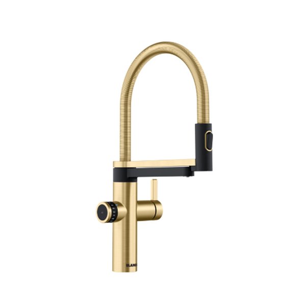 Evol-S Pro Filter (Satin Gold)