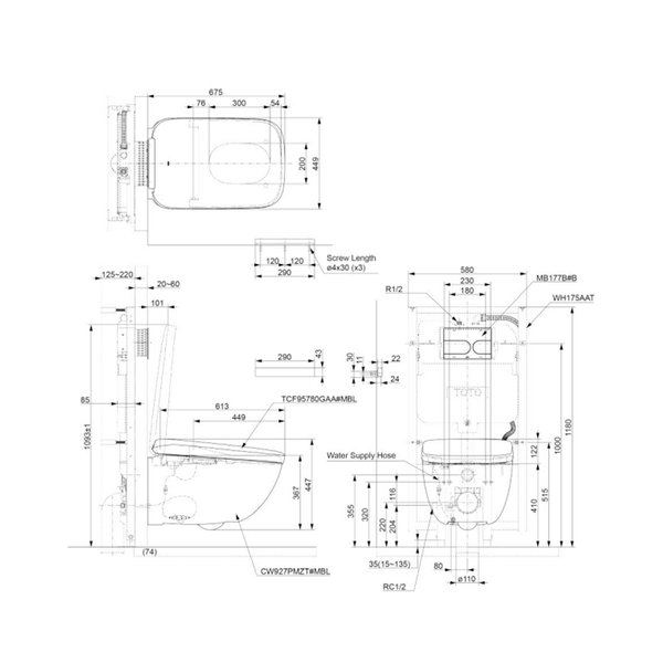 CW927PZT#MBL / TCF95380GAA#MBL - NEOREST WX - Luxurious Integrated Toilet (Matte Black)