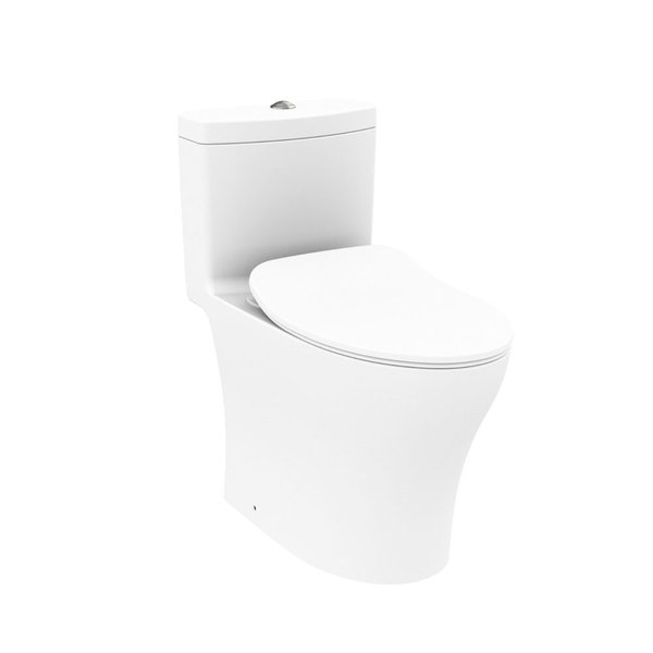 C889DESI - One Piece Toilet Bowl (Matte White)