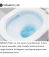TOTO Wall Hung Toilet - ALISEI - CW274J - Tornado Flush